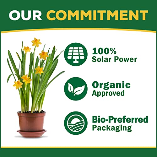 Espoma Iron-Tone Plant Supplement, 2-0-3, 5-Lb.