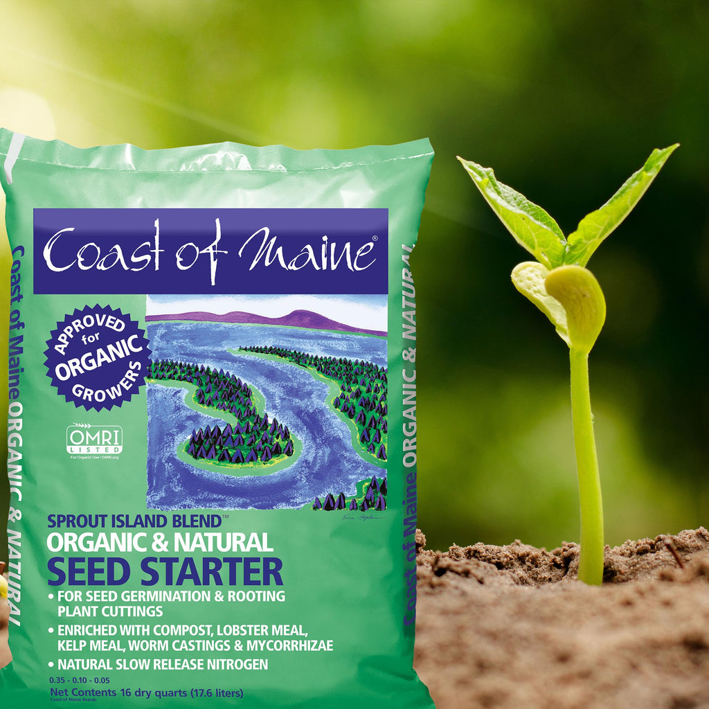 Coast of Maine, 16qt (Pack of 10) Sprout Island Blend, Organic & Natural Seed Starter for Seed Germination & Root Plant Cuttings