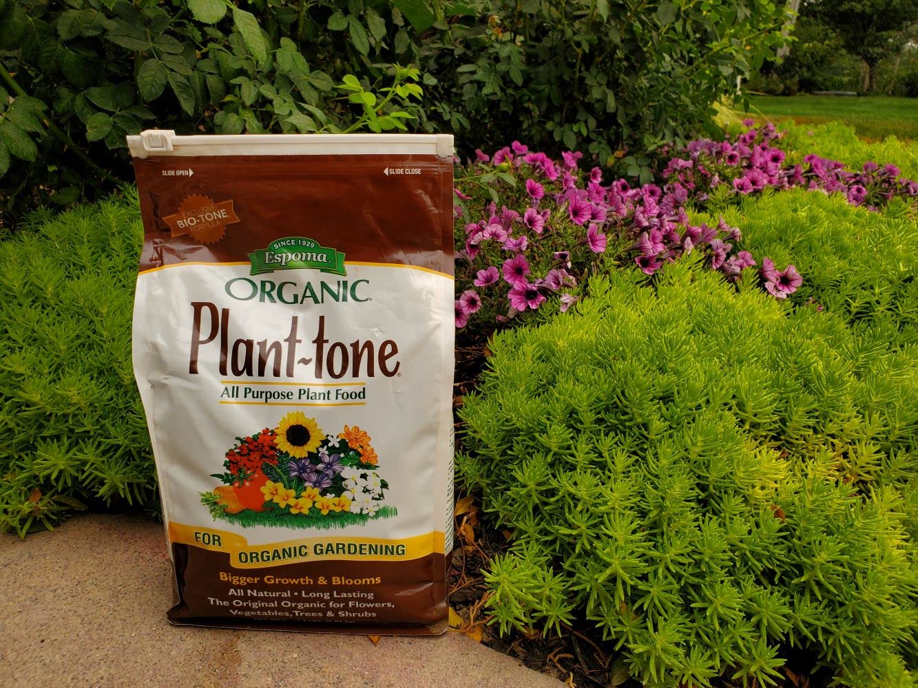 Espoma Organic Plant-Tone 5-3-3 Natural & Organic All Purpose Plant Food; 4 lb. Bag; Organic Fertilizer for All Flowers, Vegetables, Trees, and Shrubs. - Pack of 2