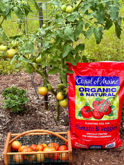 Coast of Maine Organic & Natural Planting Soil for Vegetables & Tomatoes - Premium Planting Soil w/Composted Manure, Sphagnum Peat Moss for Multi Use Ground & Containers - Enhanced Drainag
