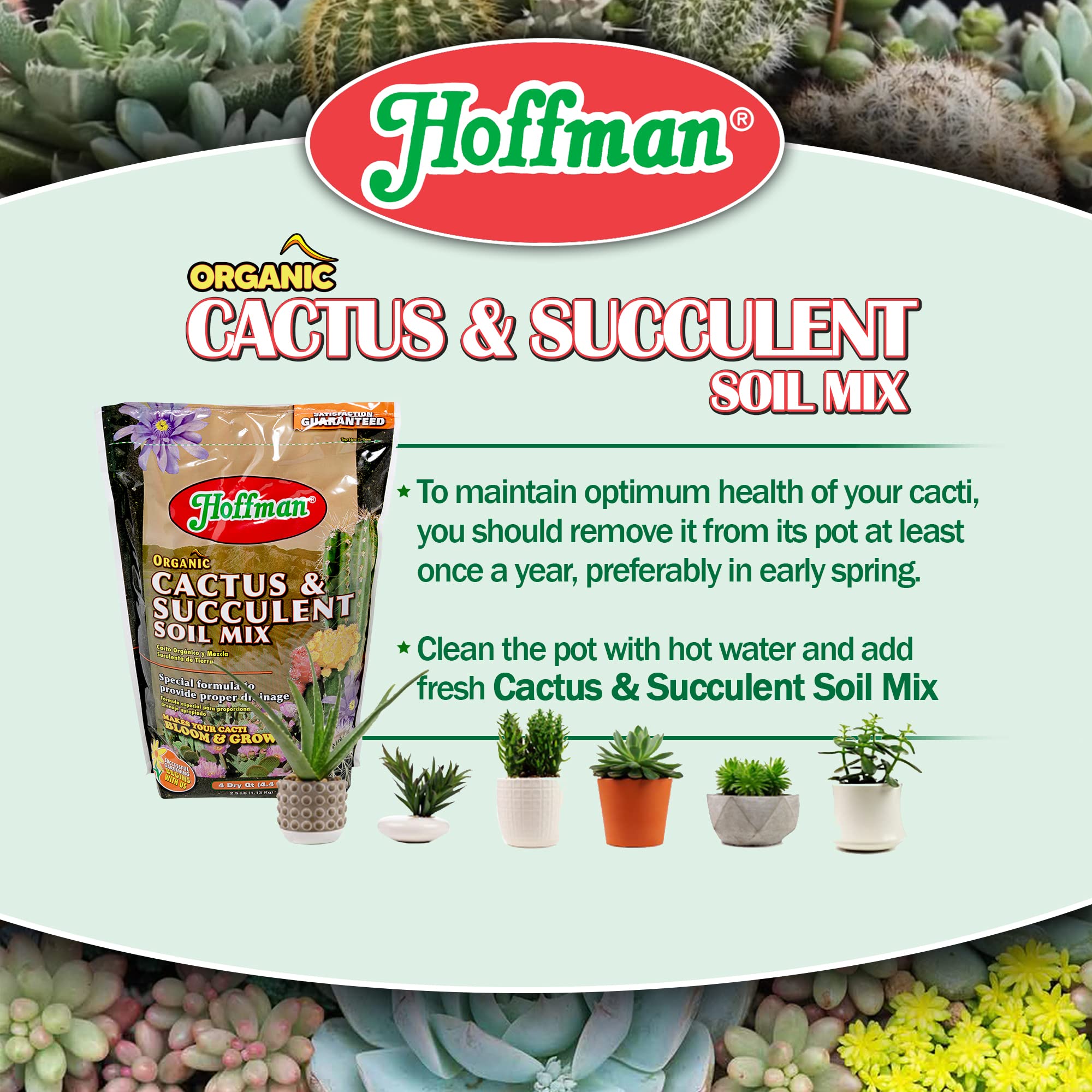 Hoffman Organic Cactus and Succulent Soil Mix to Provide Proper Drainage and Improve Growth in Cacti, 4 Quarts