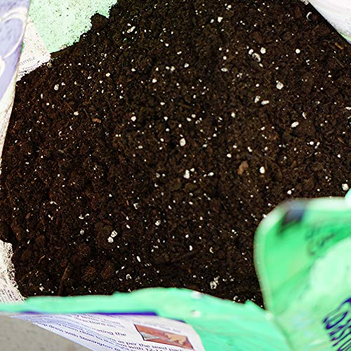 Coast of Maine, 16qt (Pack of 10) Sprout Island Blend, Organic & Natural Seed Starter for Seed Germination & Root Plant Cuttings