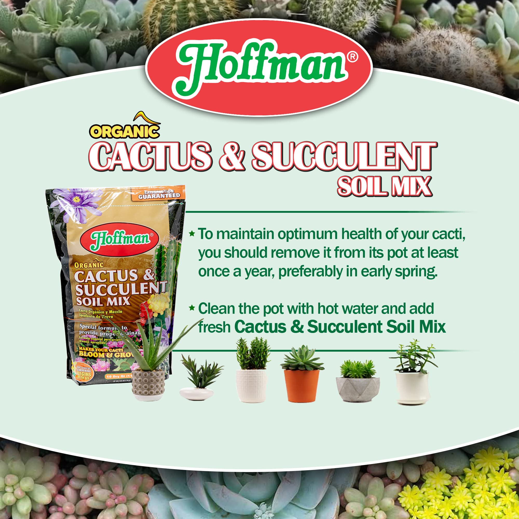 Hoffman 10410 Organic Cactus and Succulent Soil Mix, 10 Quarts