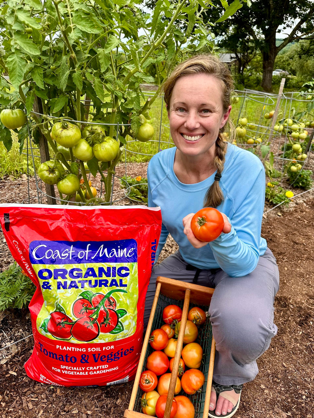 Coast of Maine Organic & Natural Planting Soil for Vegetables & Tomatoes - Premium Planting Soil w/Composted Manure, Sphagnum Peat Moss for Multi Use Ground & Containers - Enhanced Drainag