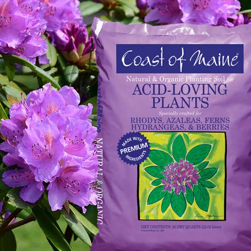 Coast of Maine Organic & Natural Planting Soil for Acid Loving Plants Azalea, Rhododendron & Berries - Premium Planting Soil w/Composted Manure, Sphagnum Peat Moss - Low pH, Enhanced Drainage (20 Qt)