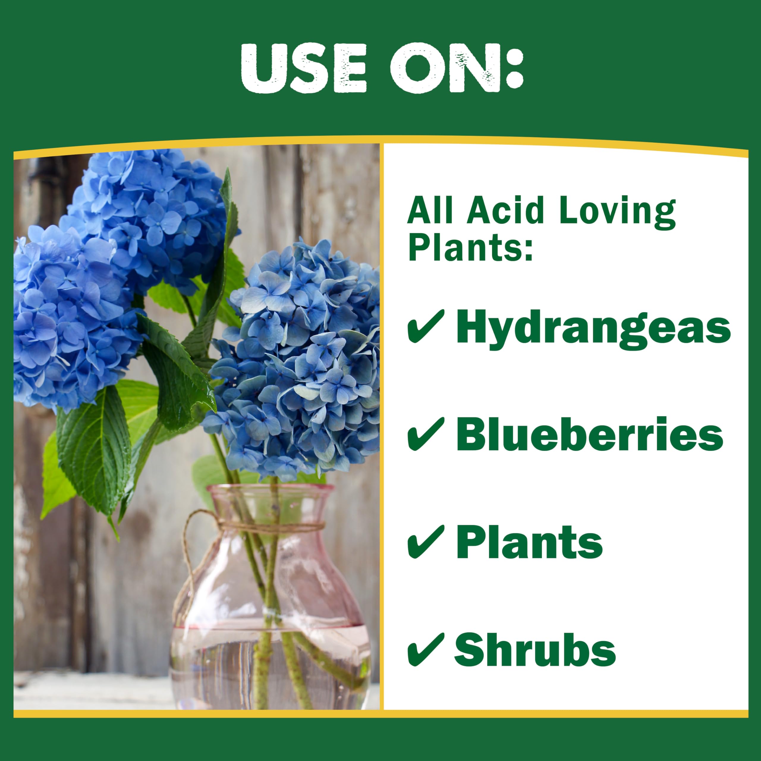 Espoma Organic Soil Acidifier Soil Amendment; Lowers Soil pH and Turns Hydrangeas Blue! Contains Elemental Sulfur and can be Used for Organic Gardening 6 lb. Bag - Pack of 1
