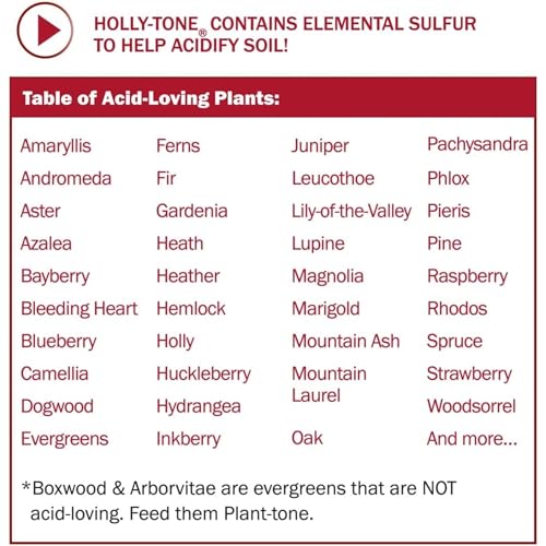 Espoma Organic Holly-Tone 4-3-4 Natural & Organic Evergreen & Azalea Plant Food; 4 lb. Bag; The Original & Best Fertilizer for All Acid Loving Plants Including Rhododendrons & Hydrangeas. Pack of 2