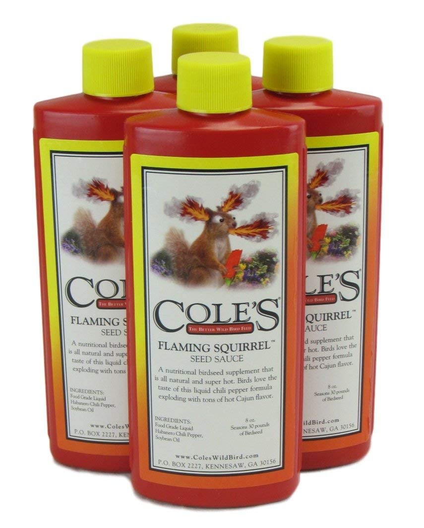 Cole's Flaming Squirrel Assorted Species Wild Bird Food Additive Soybean Oil 8 oz.