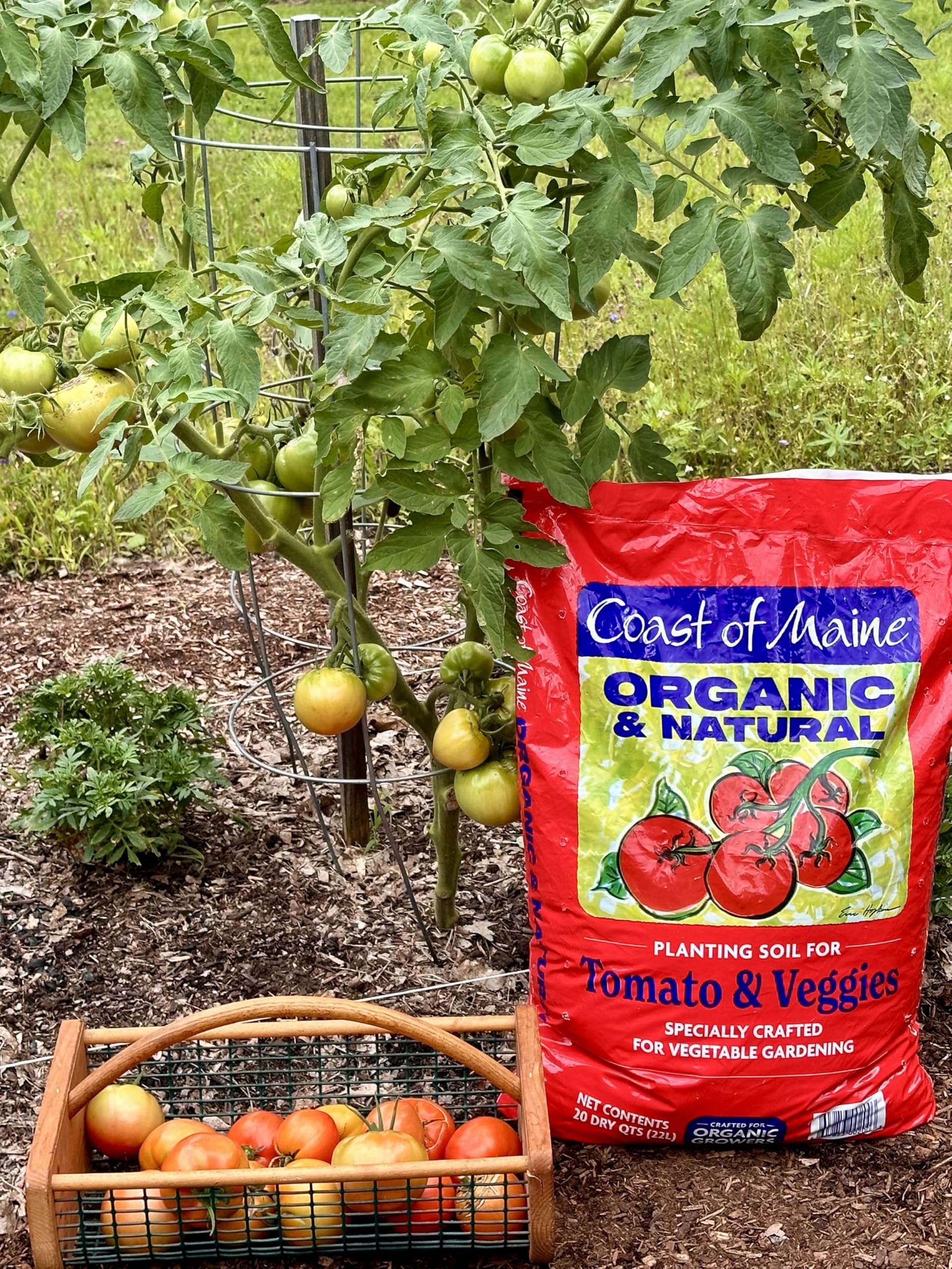 Coast of Maine Organic & Natural Planting Soil for Vegetables & Tomatoes - Premium Planting Soil w/Composted Manure, Sphagnum Peat Moss for Multi Use Ground & Containers - Enhanced Drainag