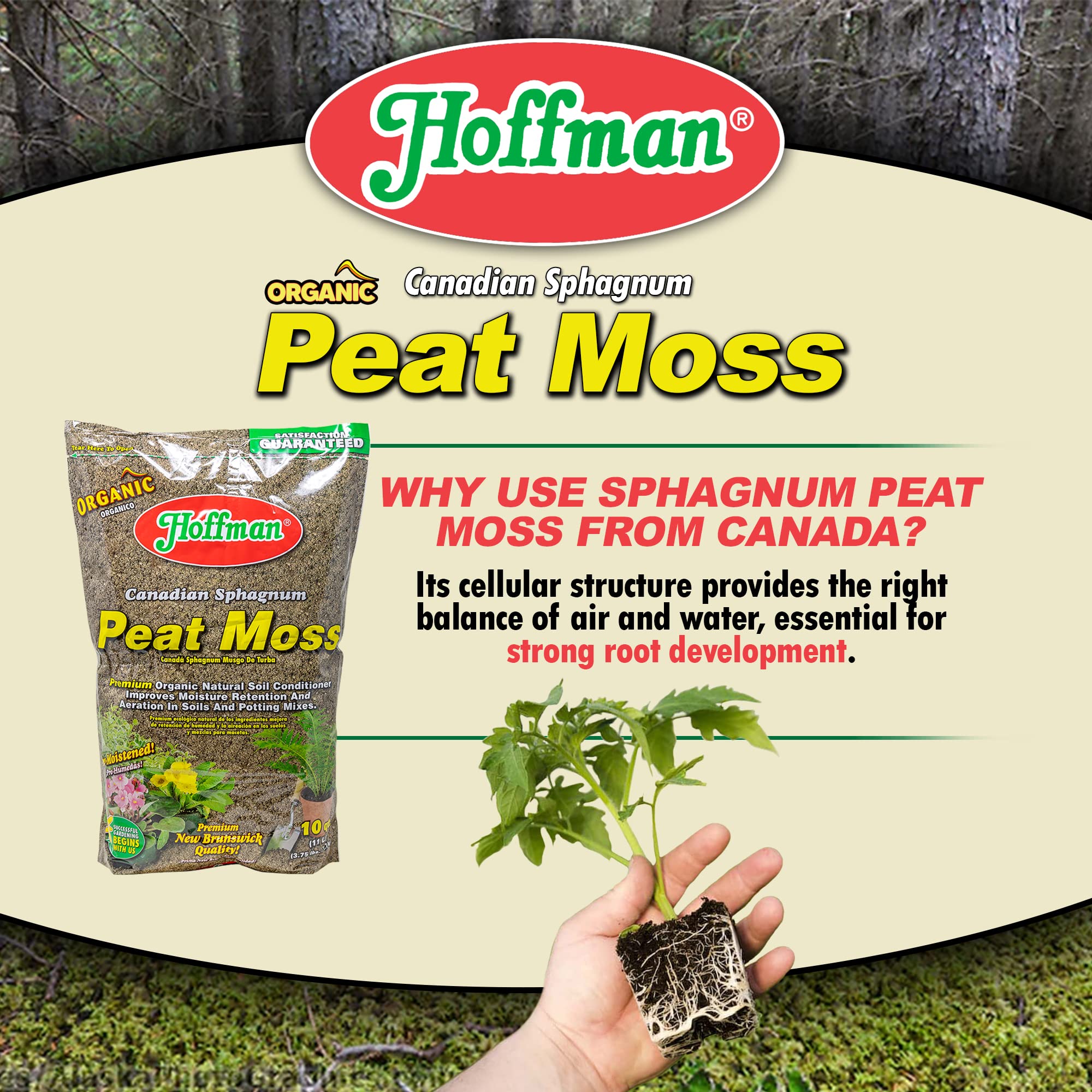 Hoffman Canadian Sphagnum Peat Moss Soil Conditioner to Improve Moisture Retention and Aeration, 10qt Bag, Pack of 2