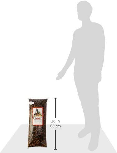 Cole's BH10 Blazing Hot Blend Bird Seed, 10-Pound (Тwo Рack)