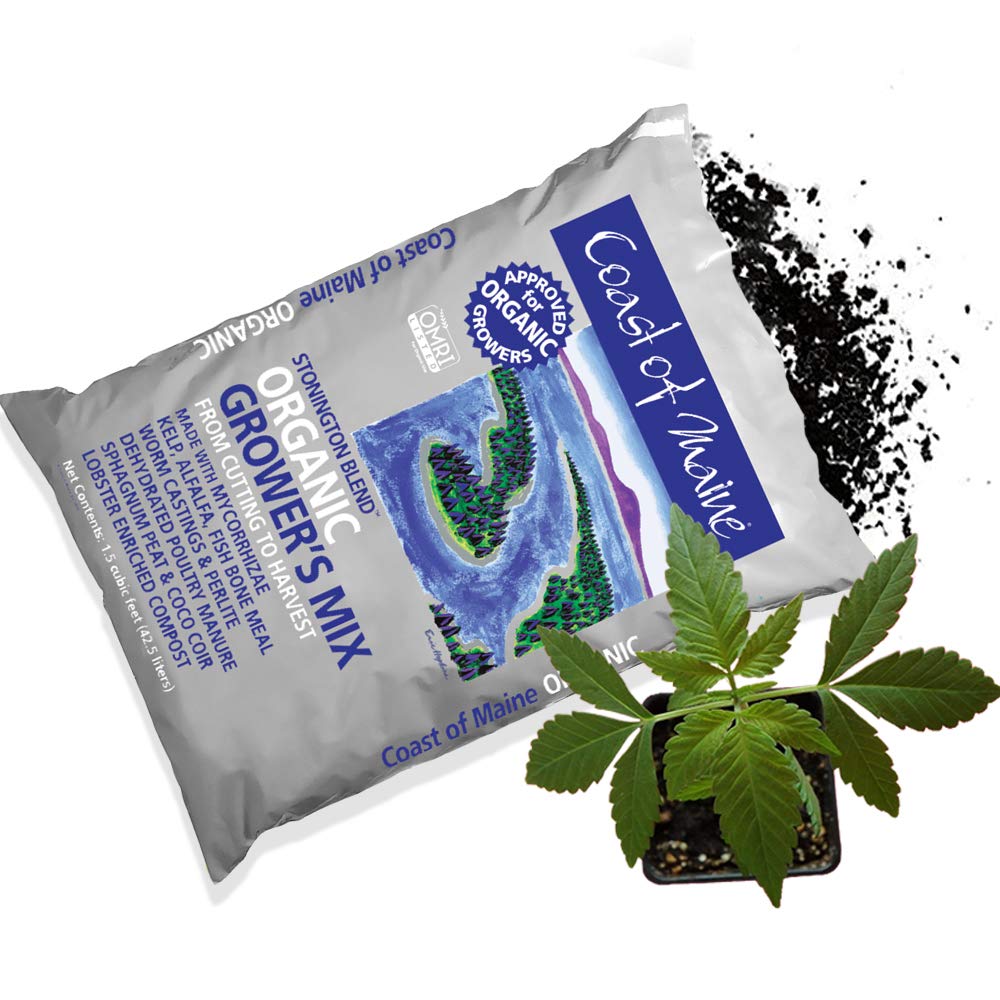 Coast of Maine Stonington Blend, 1.5 cu ft (Pack of 8) Organic and Natural Grower?s Mix for Large Container Plants