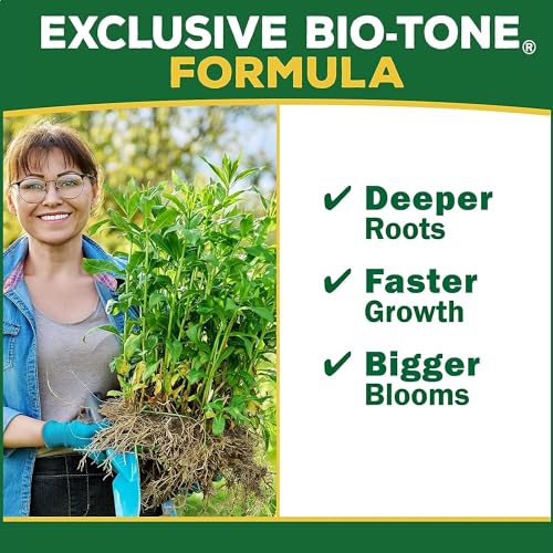Espoma Organic Holly-Tone 4-3-4 Natural & Organic Evergreen & Azalea Plant Food; 4 lb. Bag; The Original & Best Fertilizer for All Acid Loving Plants Including Rhododendrons & Hydrangeas. Pack of 2