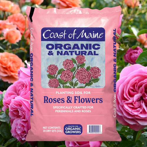 Coast of Maine Organic & Natural Planting Soil for Roses & Flowers - Premium Garden Soil w/Composted Manure, Sphagnum Peat Moss for Multi Use In Ground & Containers - Enhanced Drainage (20 Qt)